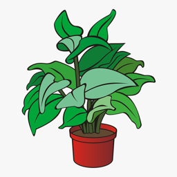 Plante
